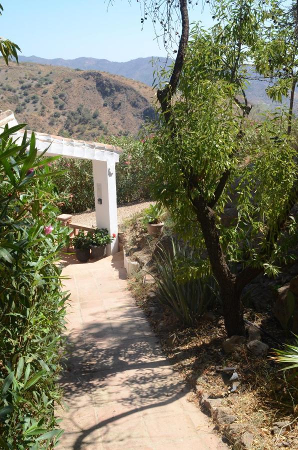 Casa Del Limon Canillas de Aceituno Exterior foto
