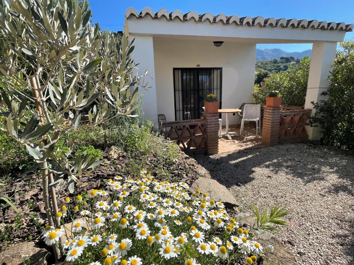 Casa Del Limon Canillas de Aceituno Exterior foto